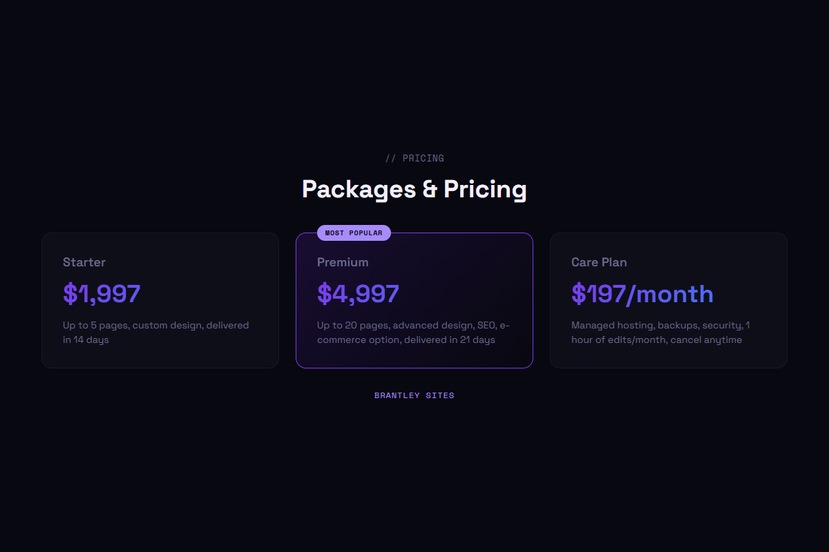 Pricing comparison between Starter and Premium website packages